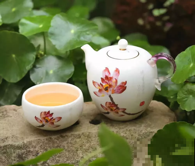 养花人都有个田园梦:一处小院,繁花盛开! 养花人都有个田园梦:一处小院,繁花盛开!