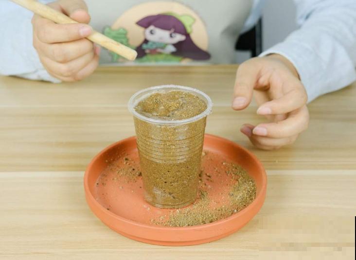 家里的花,用这东西裹住,捂一捂,可以快速生根! 家里的花,用这东西裹住,捂一捂,可以快速生根!