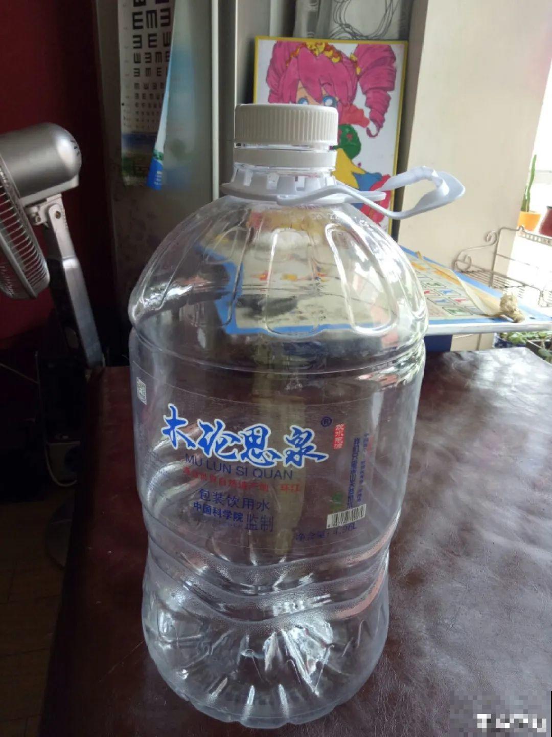 塑料瓶养花真省钱,戳个洞就行,种上吊兰长得超旺 塑料瓶养花真省钱,戳个洞就行,种上吊兰长得超旺