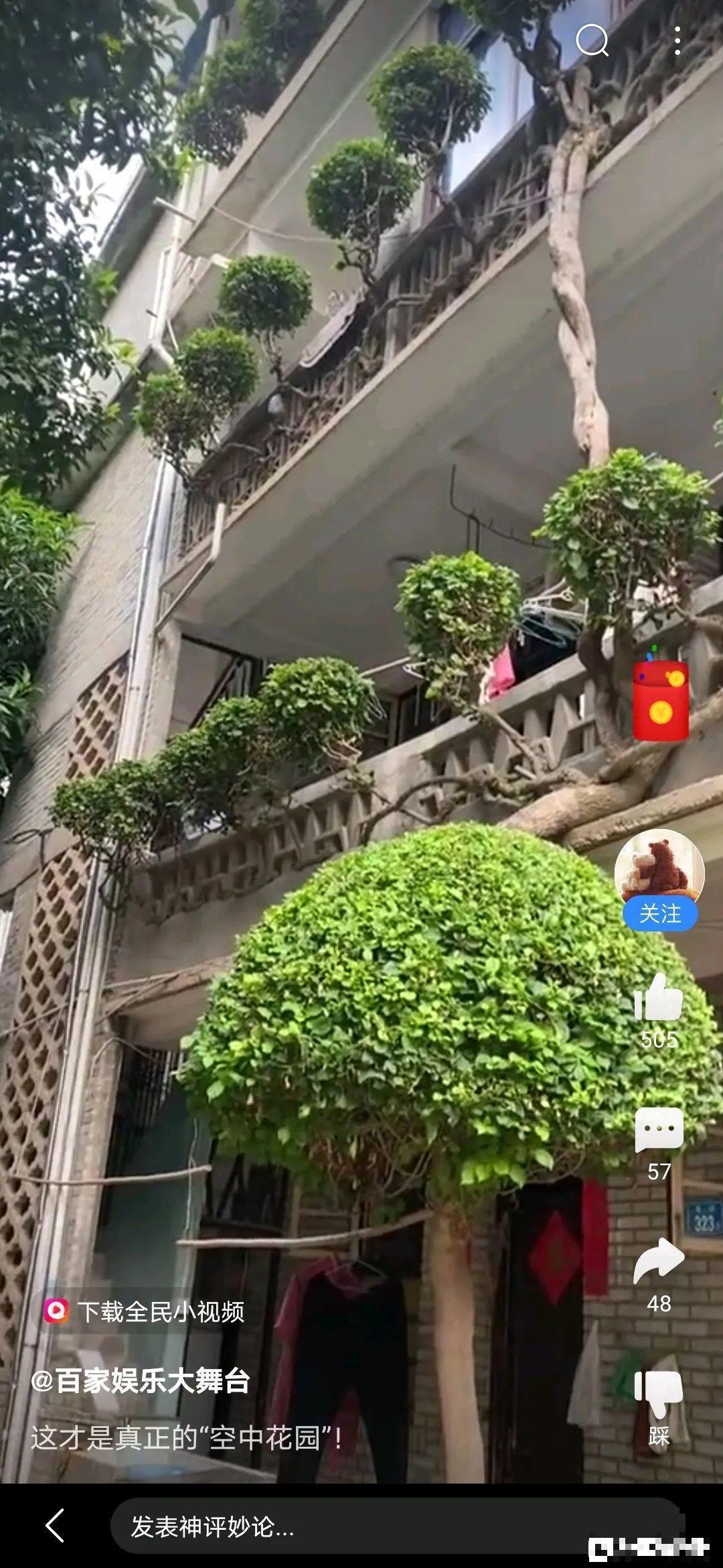 30层楼高开满三角梅,变成空中花园,太美了! 30层楼高开满三角梅,变成空中花园,太美了!