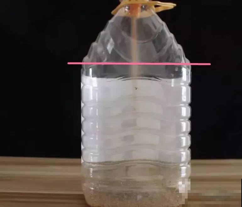 旧筷子、老干妈瓶，都是养花宝贝，做盆浇水都能用！