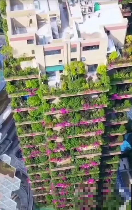 小区楼房被绿植全包围,像个森林一样,你想住进去吗? 小区楼房被绿植全包围,像个森林一样,你想住进去吗?