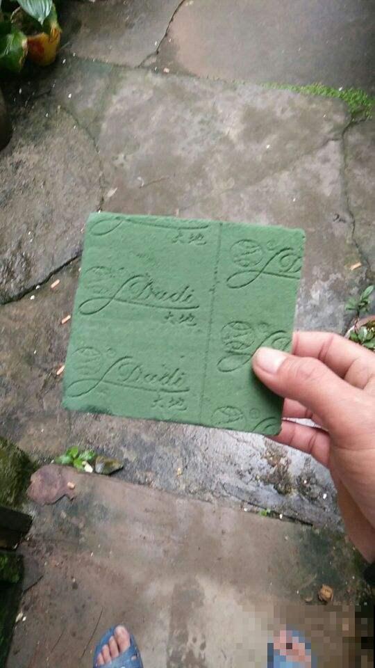 小海绵作用大,剪一刀插枝条,扦插蹭蹭冒白根 小海绵作用大,剪一刀插枝条,扦插蹭蹭冒白根