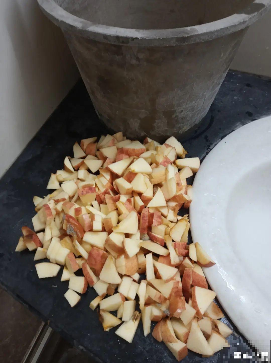 换盆的旧土别丢了,掺点料,肥得冒油! 换盆的旧土别丢了,掺点料,肥得冒油!