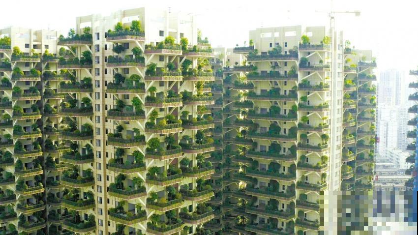 被绿植包围的森林小区，家家阳台满是植物，这样的小区你想住吗？