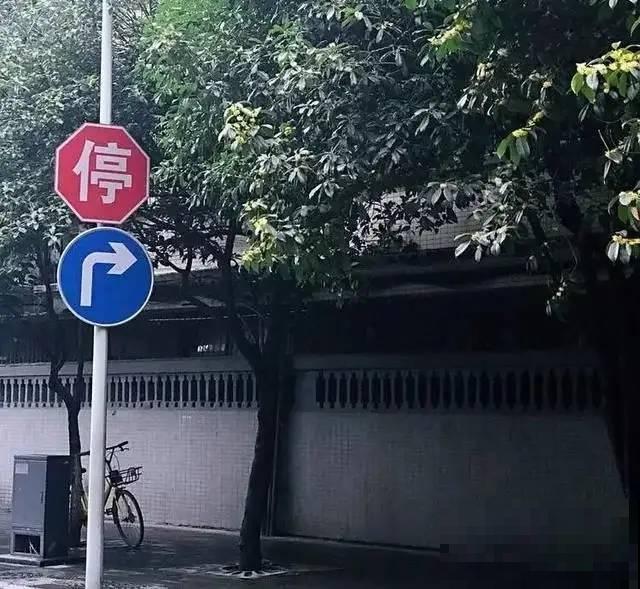 407岁古树，熊孩子玩火烧坏，只剩树皮还能活？