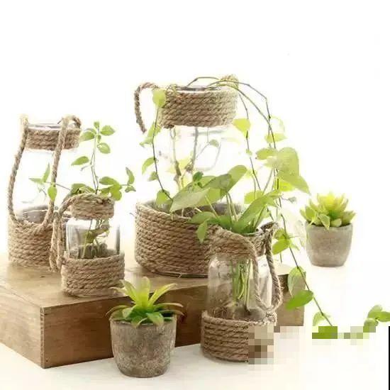 旧筷子、老干妈瓶，都是养花宝贝，做盆浇水都能用！