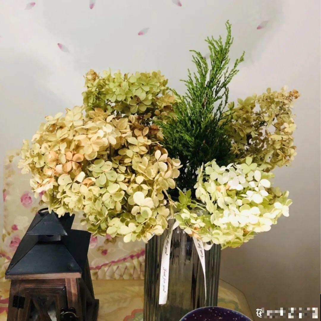 把花剪下来，倒挂几天风干，就能变成永生花！