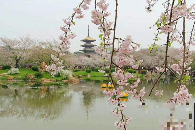 养花人都有个田园梦:一处小院,繁花盛开! 养花人都有个田园梦:一处小院,繁花盛开!