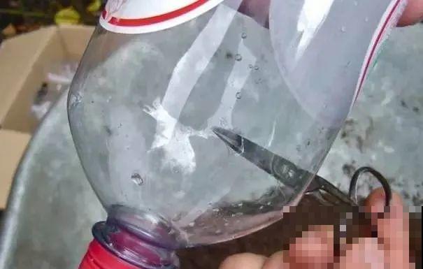 旧筷子、老干妈瓶，都是养花宝贝，做盆浇水都能用！