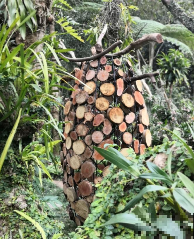 还敢说你的花园有创意?看看这些脑洞设计,一般人做不来! 还敢说你的花园有创意?看看这些脑洞设计,一般人做不来!