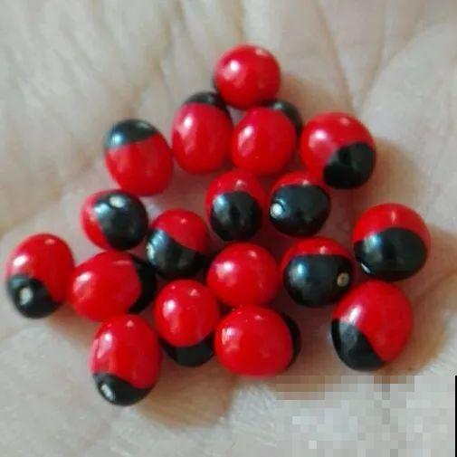 罂粟花不能随便种,私自种植,就得薅光 罂粟花不能随便种,私自种植,就得薅光