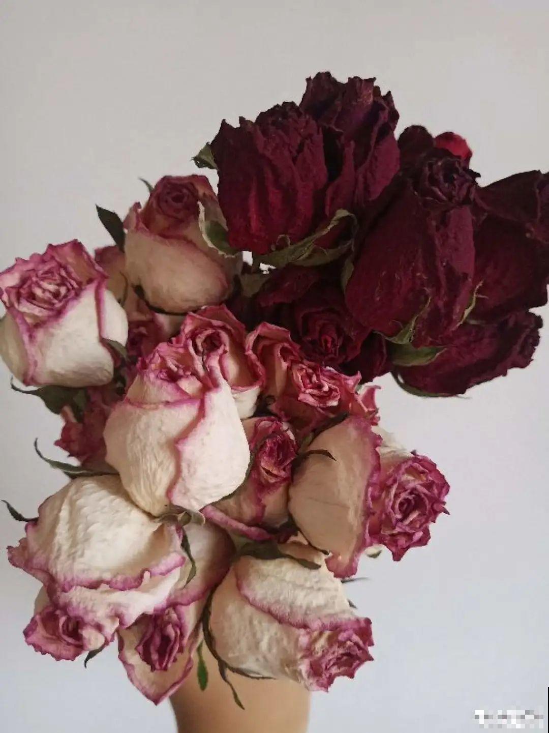 把花剪下来，倒挂几天风干，就能变成永生花！