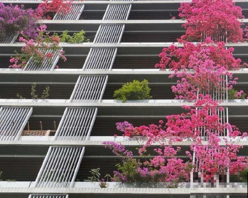 小区楼房被绿植全包围,像个森林一样,你想住进去吗? 小区楼房被绿植全包围,像个森林一样,你想住进去吗?