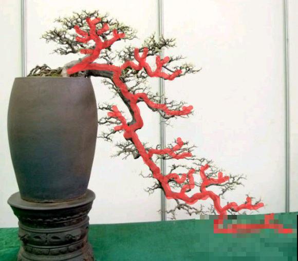 养金枝玉叶，剪成“歪脖子”，越歪越值钱！