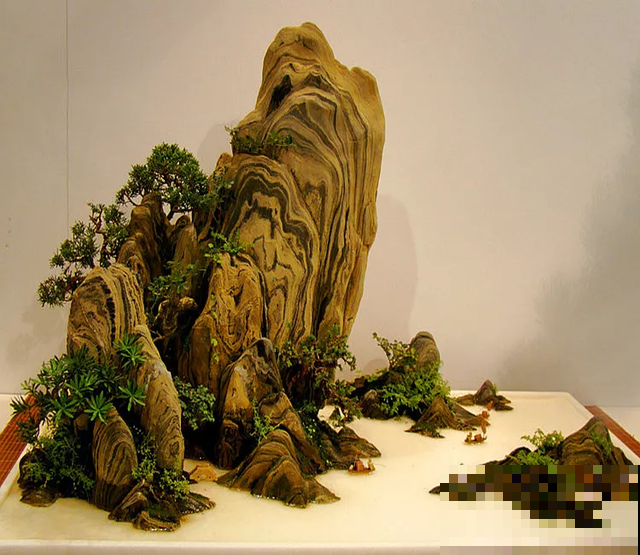 惊艳的6大盆景造型,中国植物艺术的巅峰,收藏起来! 惊艳的6大盆景造型,中国植物艺术的巅峰,收藏起来!