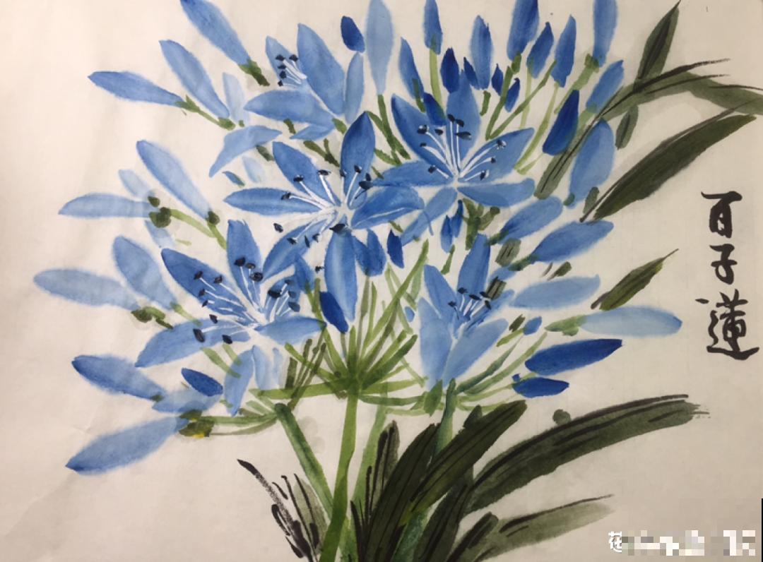 9月生日花，又美又香，寓意极好！