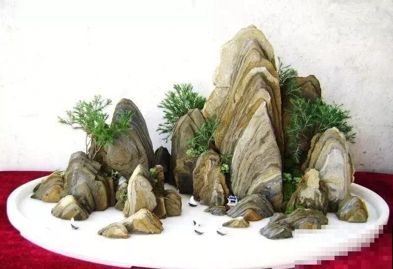 惊艳的6大盆景造型,中国植物艺术的巅峰,收藏起来! 惊艳的6大盆景造型,中国植物艺术的巅峰,收藏起来!