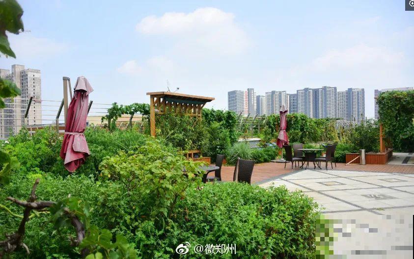 重庆一家企业,楼顶用来种菜养花,佩服! 重庆一家企业,楼顶用来种菜养花,佩服!