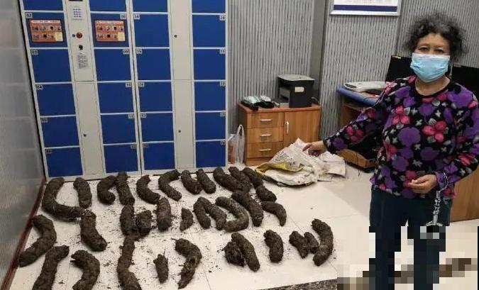 山上的雪莲,说摘就摘? 山上的雪莲,说摘就摘?