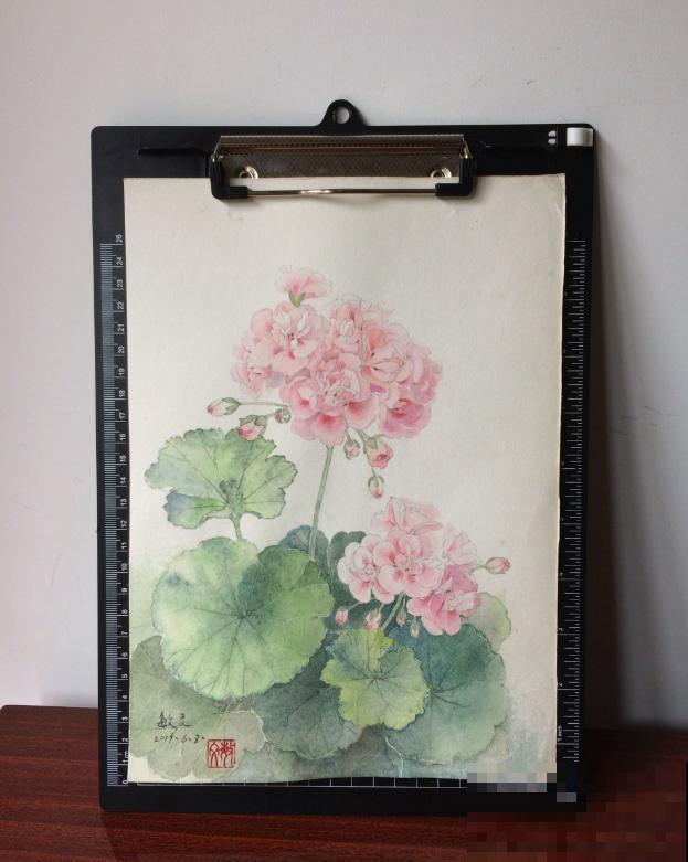 她家的花一开，就赶紧画成水彩画，比真花还美！