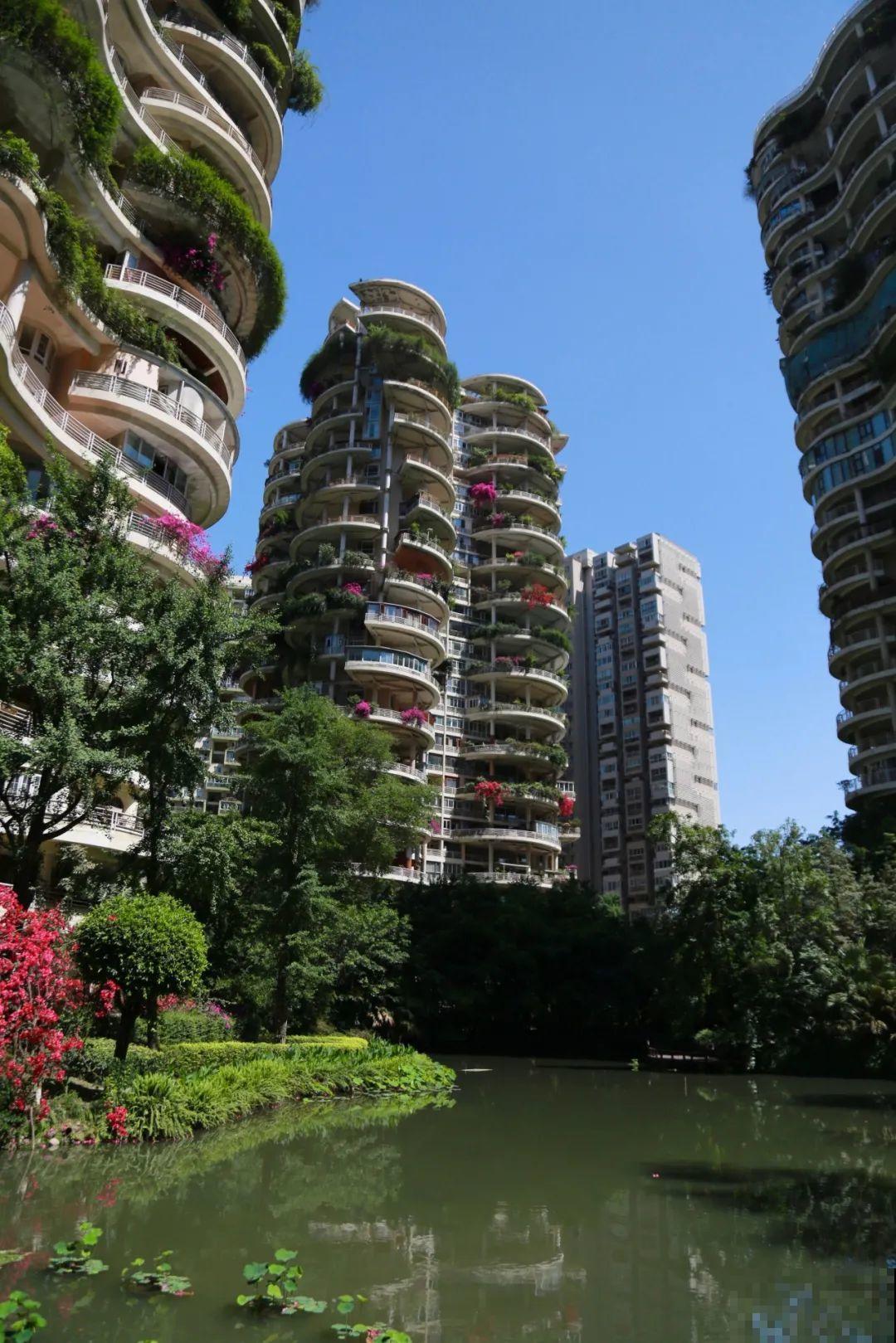 小区楼房被绿植全包围,像个森林一样,你想住进去吗? 小区楼房被绿植全包围,像个森林一样,你想住进去吗?