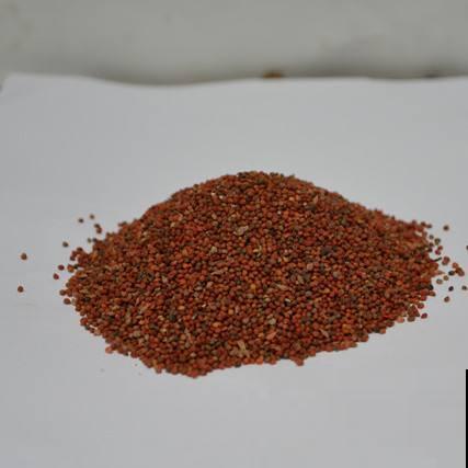 构树全身都是宝,花穗和果子都能吃,叶子还能洗碗! 构树全身都是宝,花穗和果子都能吃,叶子还能洗碗!