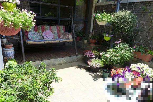 秋天的院子,养点喜欢的花,乐得自在 秋天的院子,养点喜欢的花,乐得自在