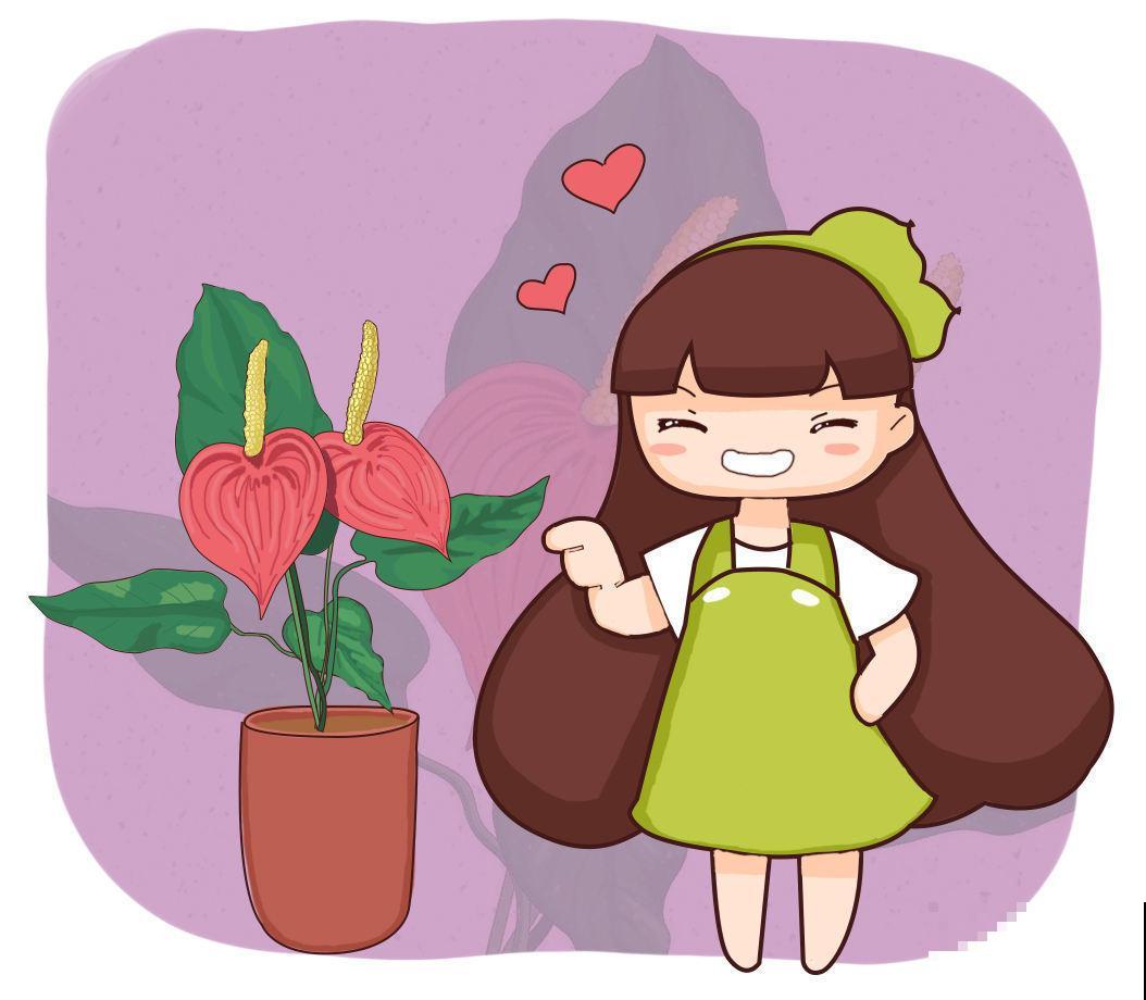 漂亮的花烛，红得像火，家里种一盆特喜庆！