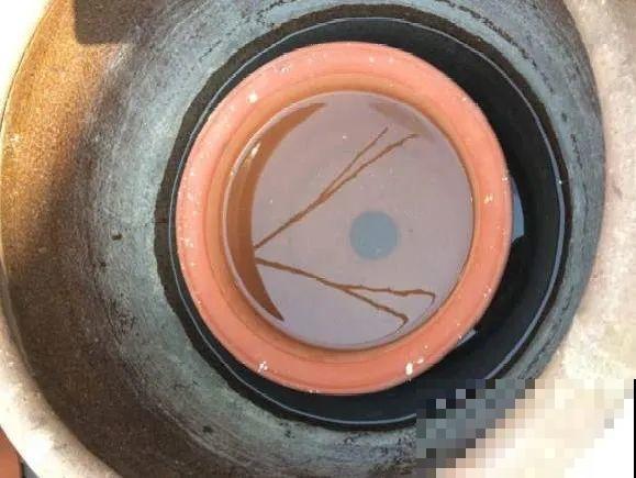 养花不一定要用大花盆，8种花要换小盆，挤着养才能长好