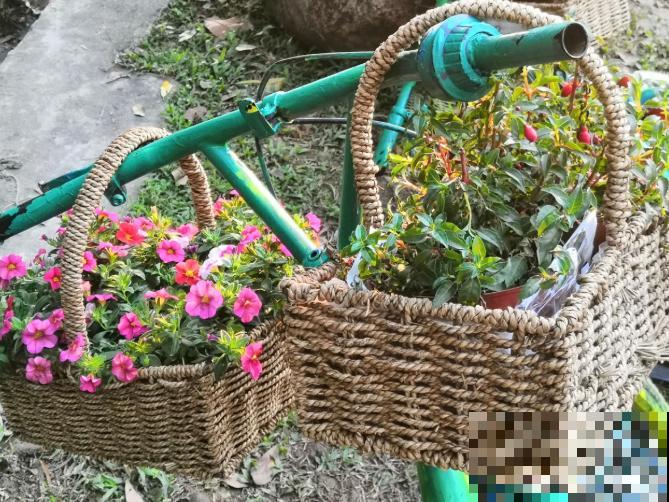 还敢说你的花园有创意?看看这些脑洞设计,一般人做不来! 还敢说你的花园有创意?看看这些脑洞设计,一般人做不来!