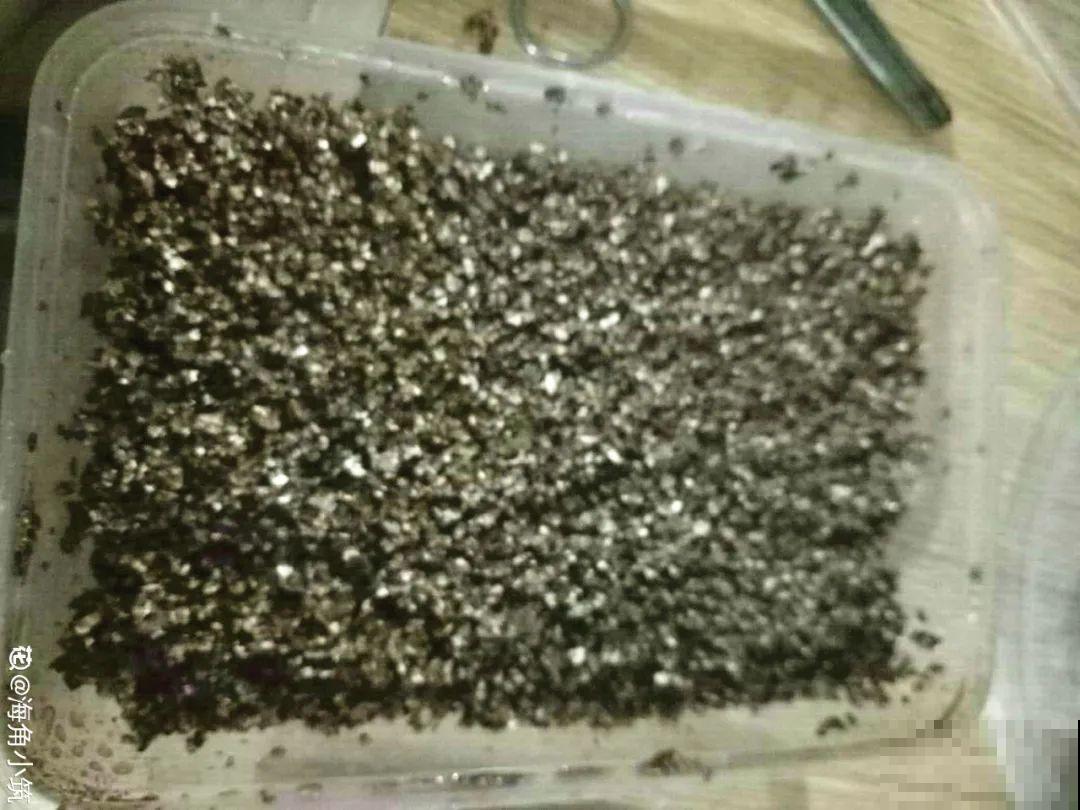 旧筷子、老干妈瓶，都是养花宝贝，做盆浇水都能用！