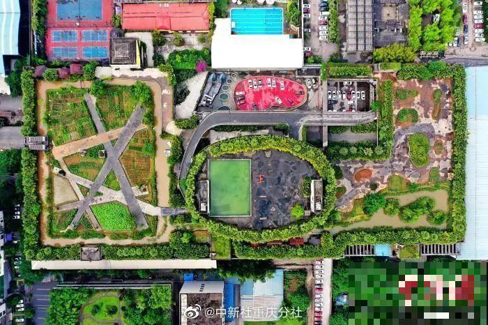 重庆一家企业,楼顶用来种菜养花,佩服! 重庆一家企业,楼顶用来种菜养花,佩服!