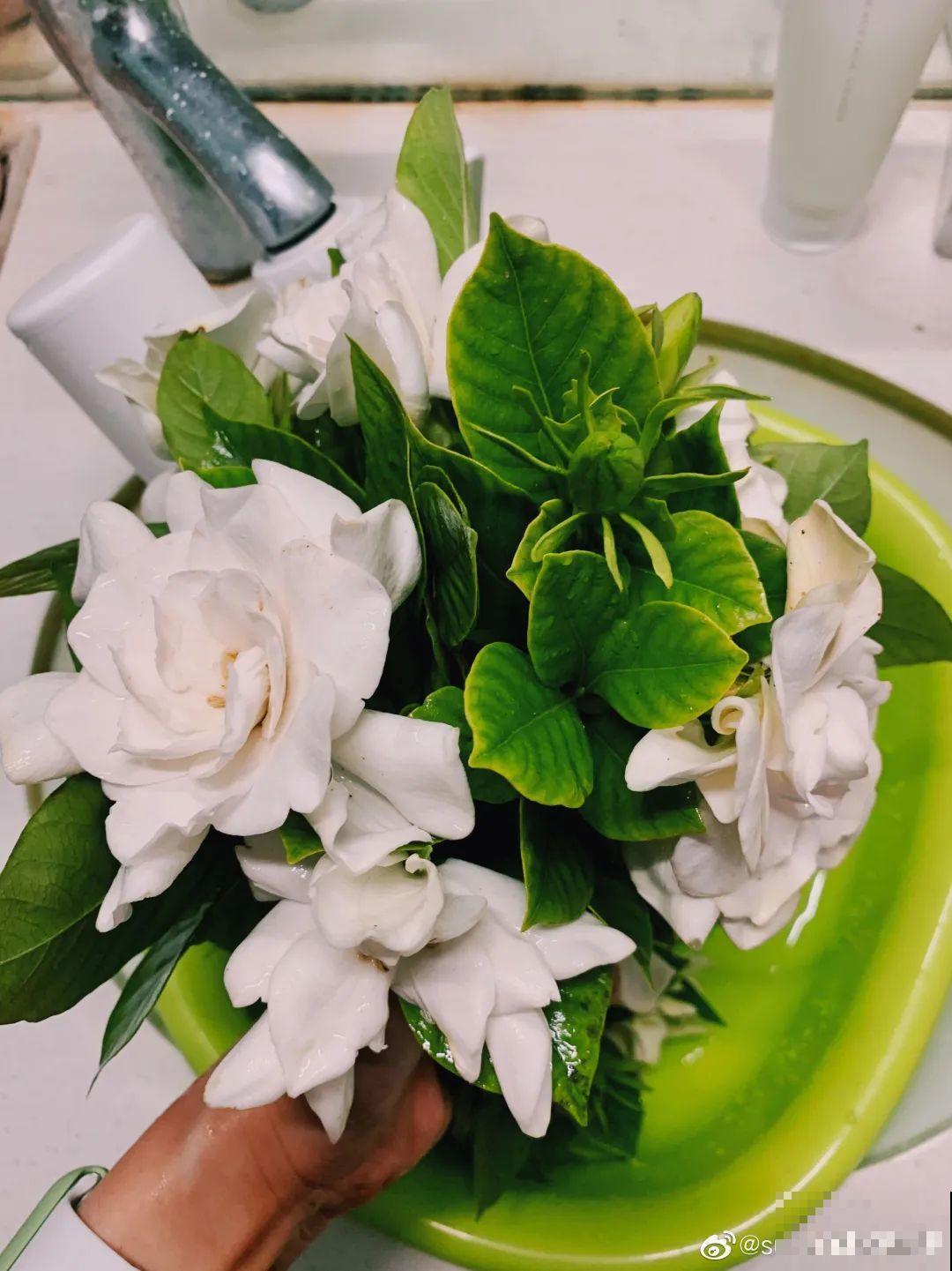 沙漠玫瑰太能长，足足100斤，1个人差点搬不动！