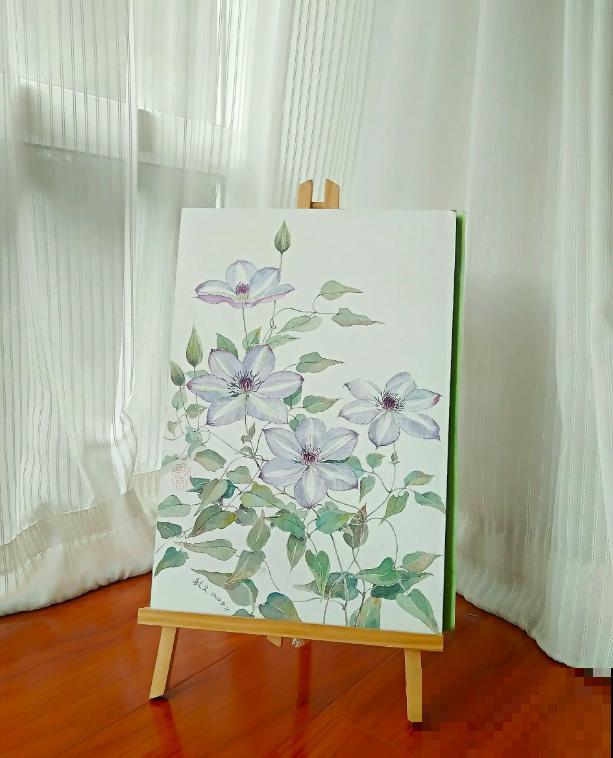 她家的花一开，就赶紧画成水彩画，比真花还美！