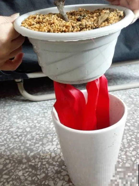 出门前，DIY个浇水神器，花就不会渴死了！