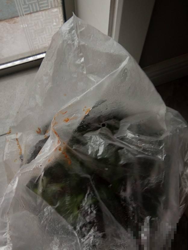 塑料瓶塑料袋都存好,都是养花好东西,花用了呼呼长 塑料瓶塑料袋都存好,都是养花好东西,花用了呼呼长