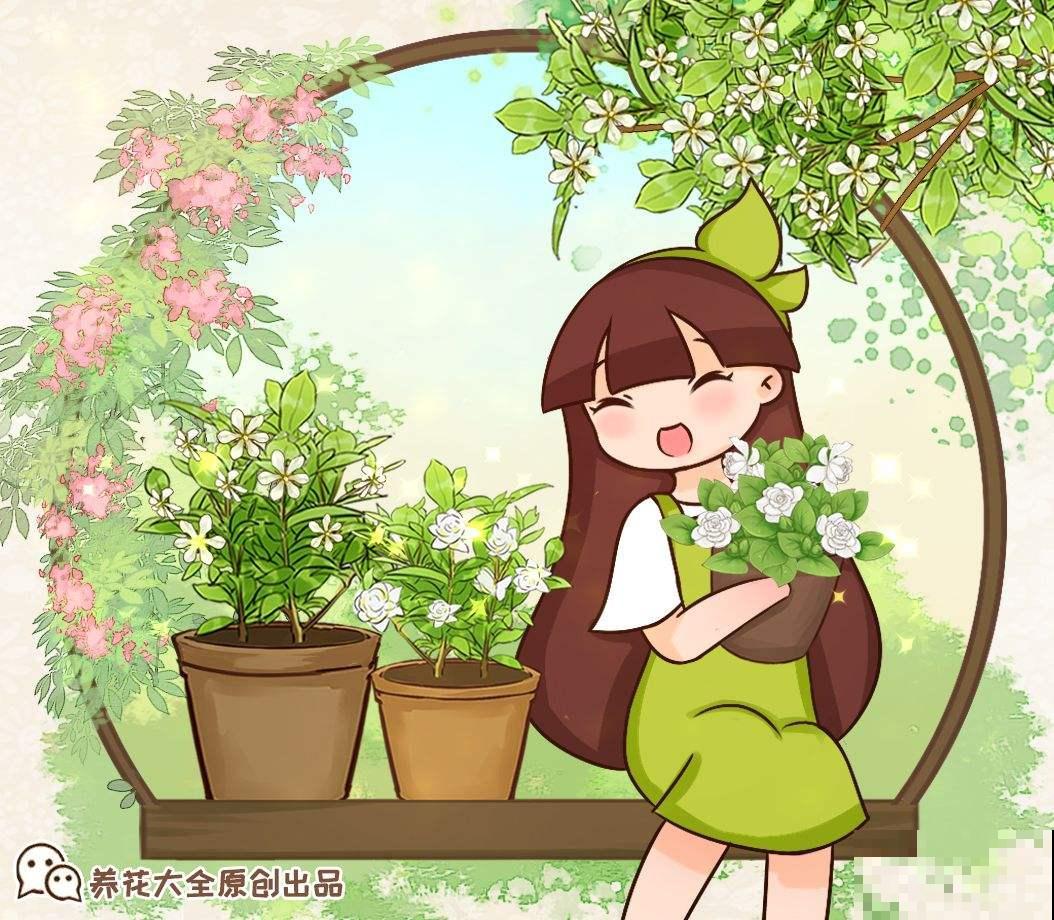 新手避坑6种花，养护难度太高，一不小心就只剩空盆