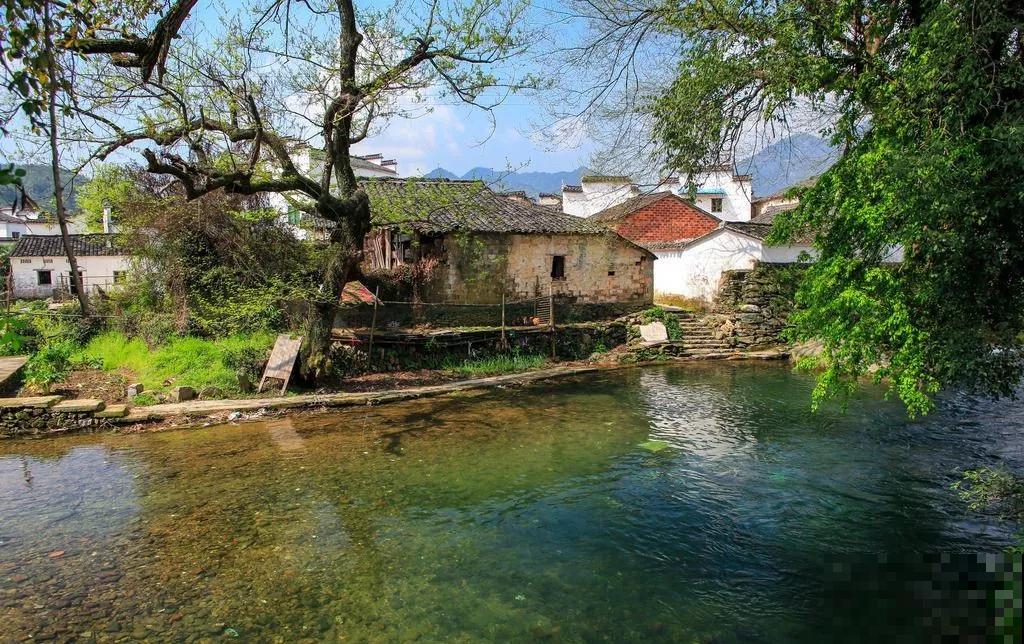 养花人都有个田园梦:一处小院,繁花盛开! 养花人都有个田园梦:一处小院,繁花盛开!