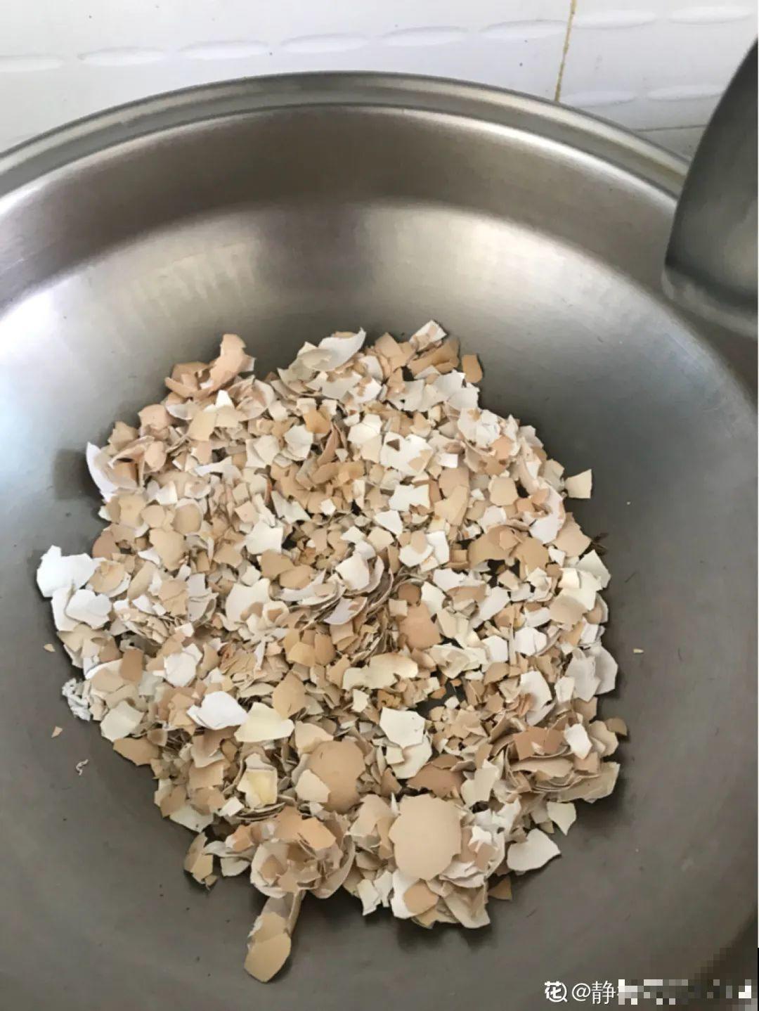 9月施肥季,这花赶紧贴秋膘,才能爆开花! 9月施肥季,这花赶紧贴秋膘,才能爆开花!