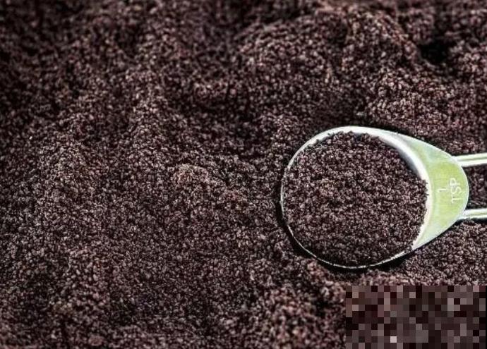 现在是播种最佳时期,种多少活多少,从秋开到春! 现在是播种最佳时期,种多少活多少,从秋开到春!