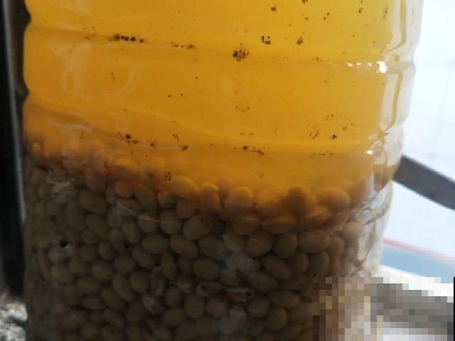 4种养花夺命水，秋天不要浇，一浇花就死！