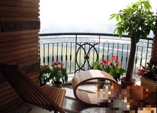 养花也要有度,阳台别摆太多花,小心压塌了! 养花也要有度,阳台别摆太多花,小心压塌了!