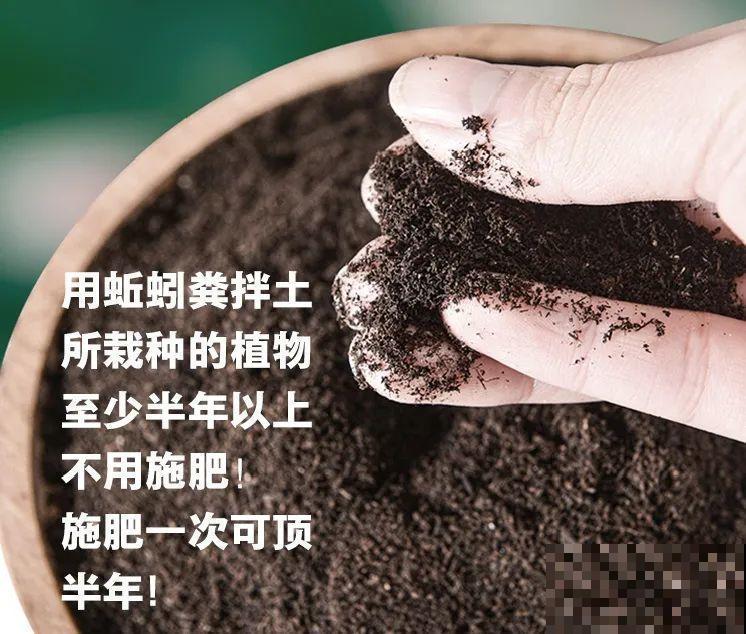 路边不起眼的是宝贝，捡到养花就是宝，养花多年不换盆！