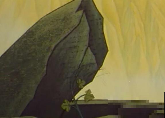 石缝间开出来的花，一点土都没有，生命力太强悍！