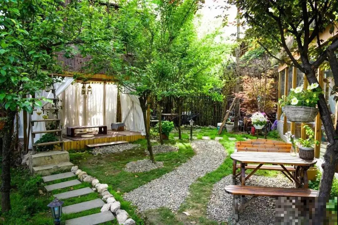 养花人都有个田园梦：一处小院，繁花盛开！