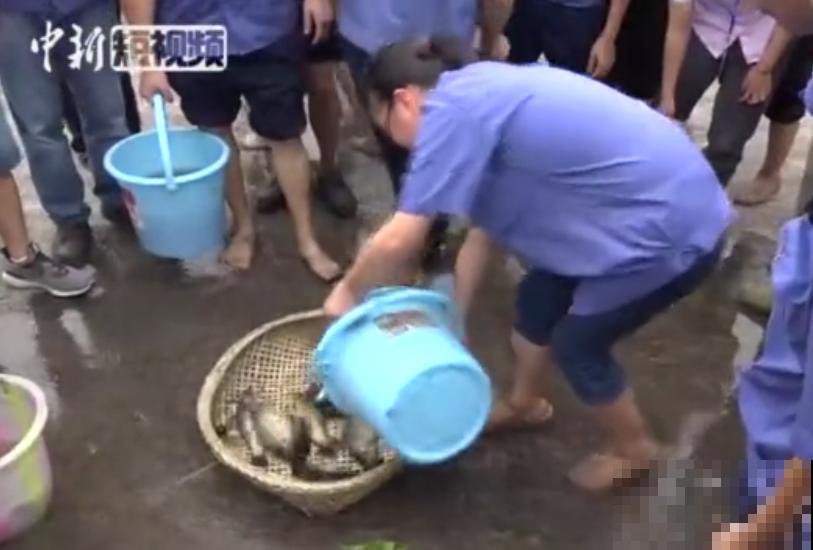 重庆一家企业,楼顶用来种菜养花,佩服! 重庆一家企业,楼顶用来种菜养花,佩服!