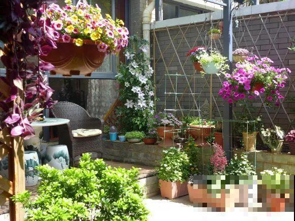 秋天的院子,养点喜欢的花,乐得自在 秋天的院子,养点喜欢的花,乐得自在