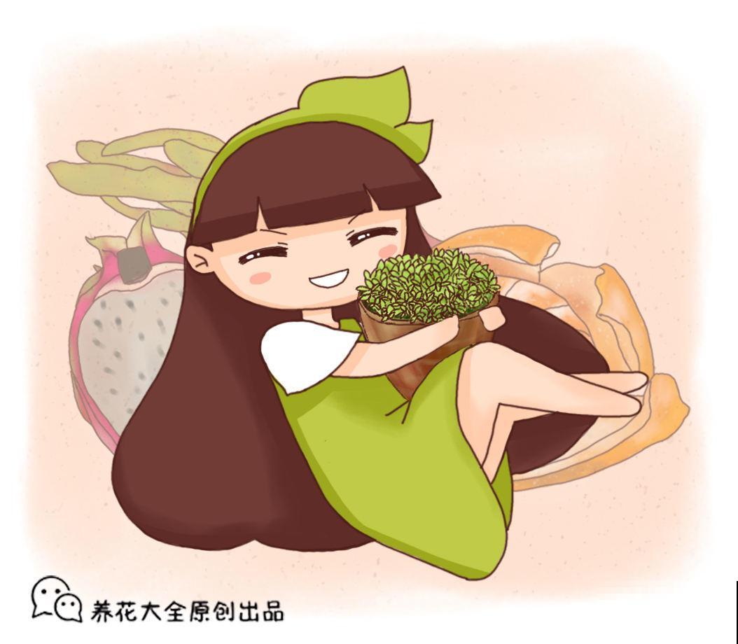 吃不完的水果别扔，妙手一改成盆栽，谁看了都得竖大拇指！