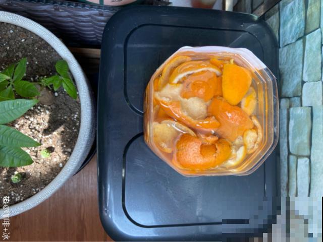 4种养花夺命水，秋天不要浇，一浇花就死！